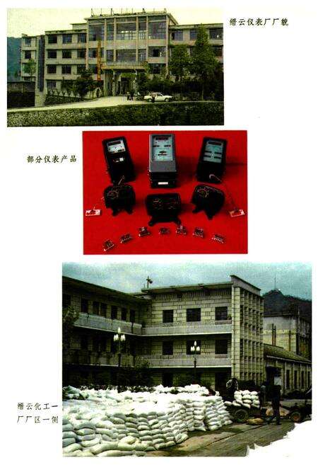 《缙云县工业志》.pdf电子版_浙江省志预览图5