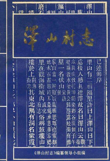 《泽山村志》.pdf电子版_浙江省志缩略图