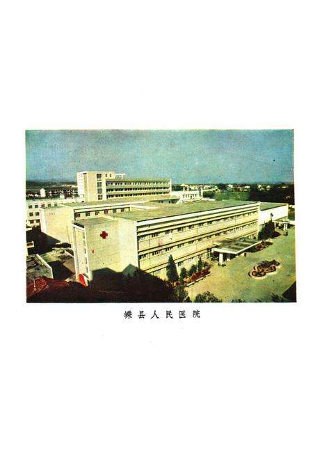 《嵊县卫生志》.pdf电子版_浙江省志预览图2