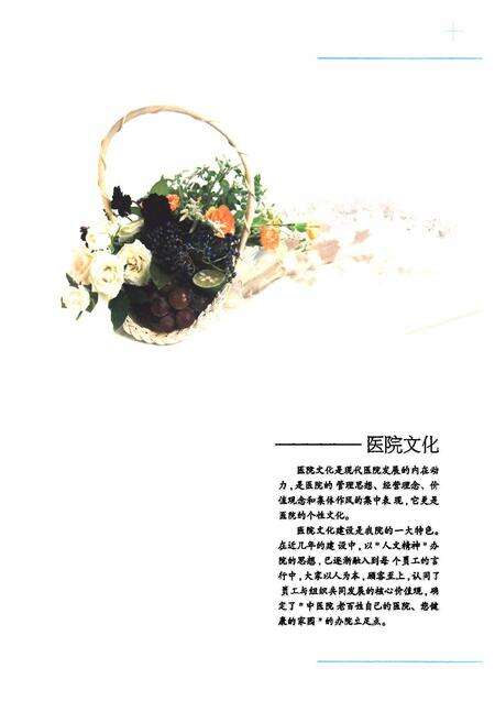 《临安市中医院院志(1986-2006)》.pdf电子版_浙江省志预览图2