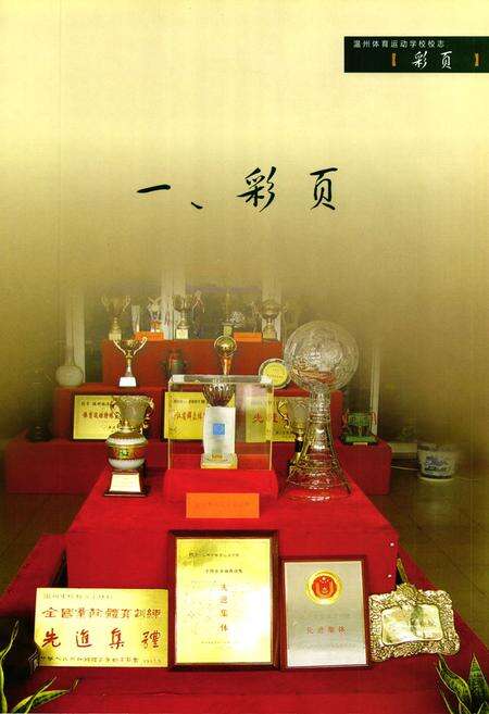 《温州体育运动学校校志》.pdf电子版_浙江省志预览图3