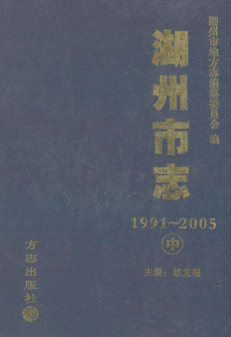 《湖州市志(1991-2005)中》.pdf电子版_浙江省志缩略图