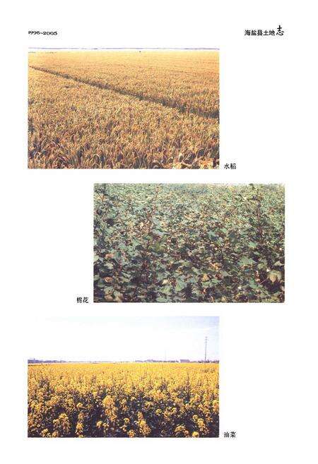 《《海盐县土地志(1996~2005)》》.pdf电子版_浙江省志预览图4