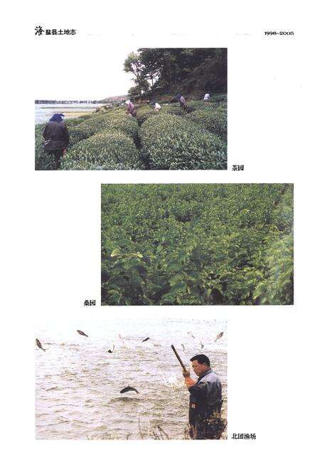 《《海盐县土地志(1996~2005)》》.pdf电子版_浙江省志预览图5