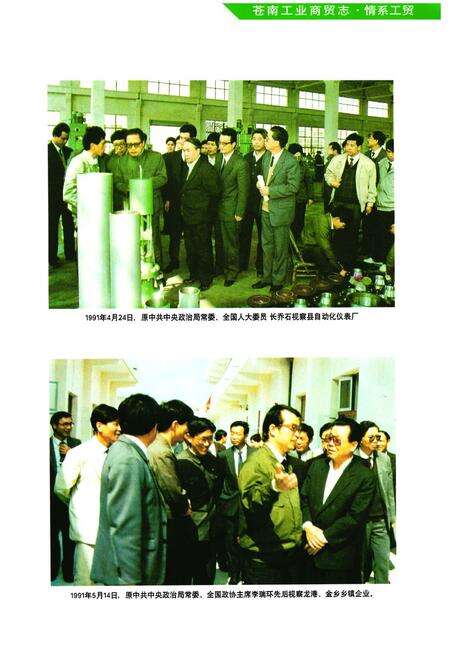 《《苍南工业商贸志》》.pdf电子版_浙江省志预览图5