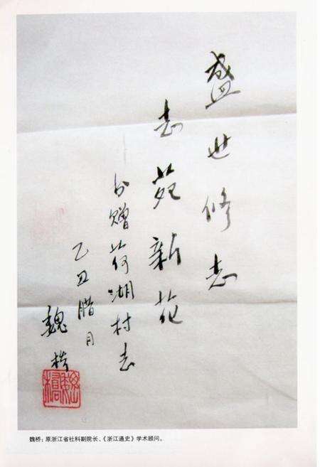 《荷湖村志》.pdf电子版_浙江省志预览图4