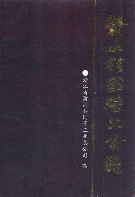 《萧山县国营工业志(1895年-1984年)》.pdf电子版_浙江省志缩略图