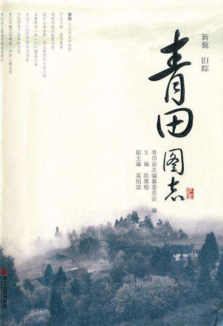 《《青田图志》》.pdf电子版_浙江省志缩略图
