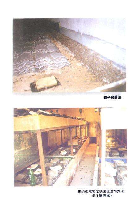 《浙江绍兴东亚全蝎开发中心志》.pdf电子版_浙江省志预览图3