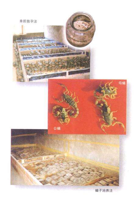 《浙江绍兴东亚全蝎开发中心志》.pdf电子版_浙江省志预览图4