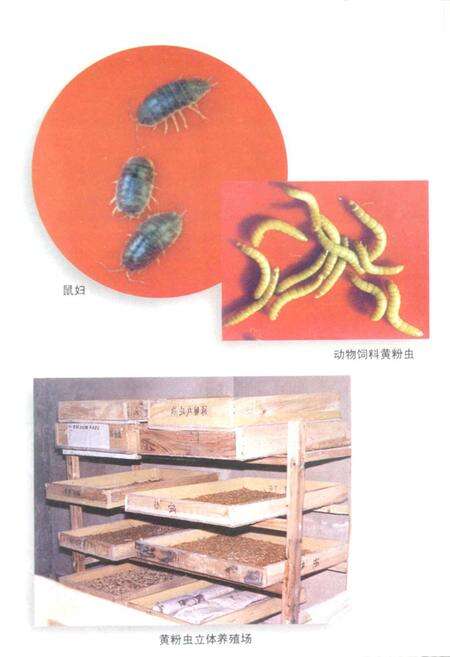 《浙江绍兴东亚全蝎开发中心志》.pdf电子版_浙江省志预览图5