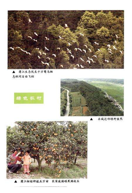 《浦江县国土志》.pdf电子版_浙江省志预览图5