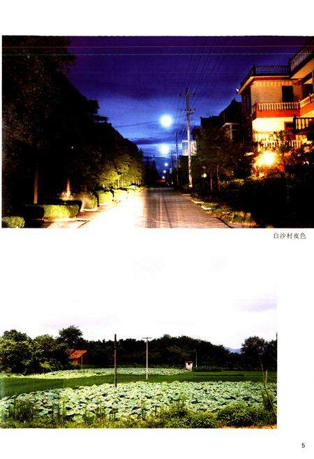 《白沙村志》.pdf电子版_浙江省志预览图5