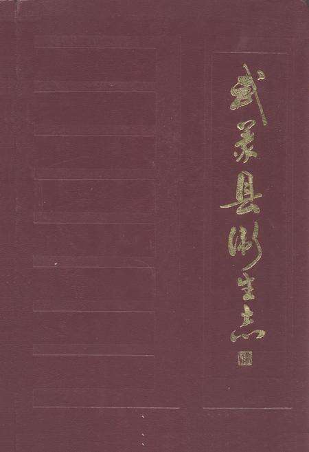 《武义县卫生志》.pdf电子版_浙江省志缩略图