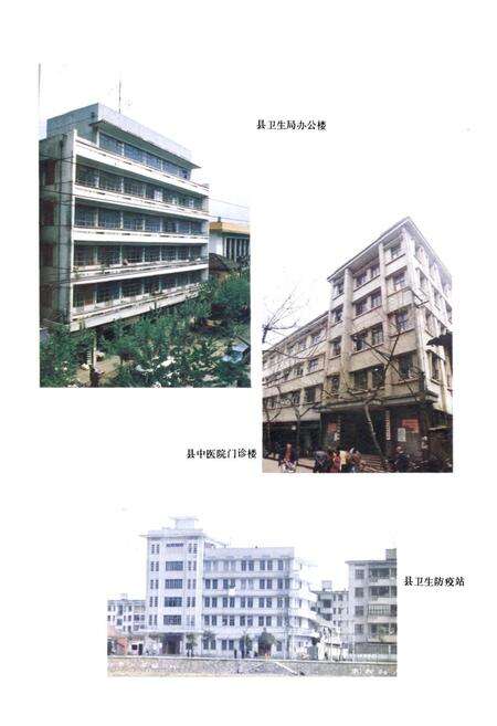 《武义县卫生志》.pdf电子版_浙江省志预览图4