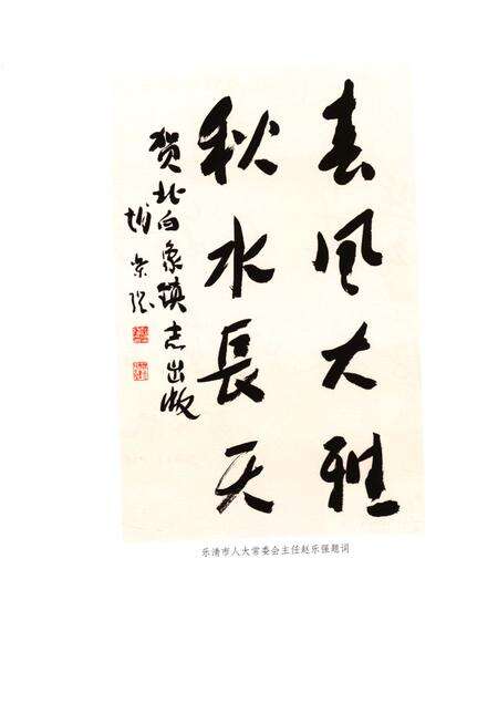 《北白象镇志》.pdf电子版_浙江省志预览图3