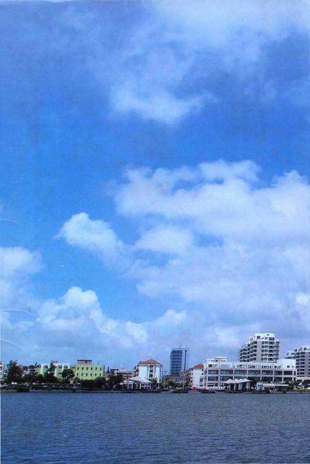 《平湖市文化志》.pdf电子版_浙江省志预览图2