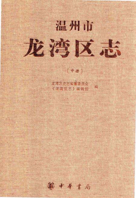 《温州市龙湾区志（中册）》.pdf电子版_浙江省志缩略图