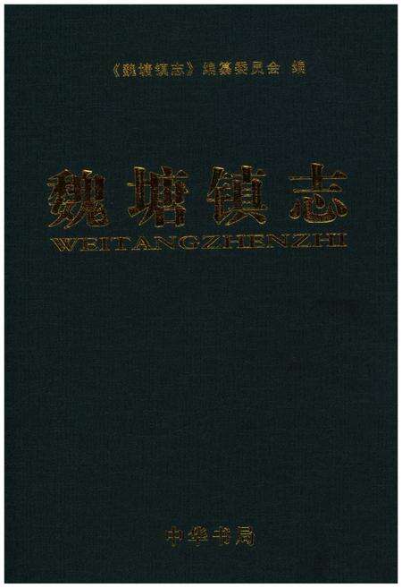 《魏塘镇志》.pdf电子版_浙江省志缩略图
