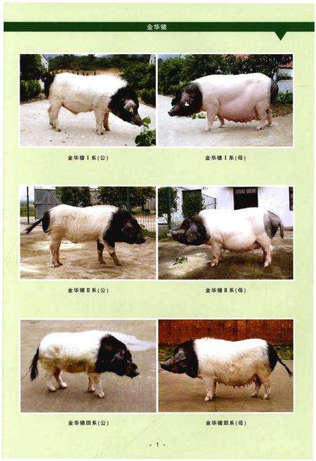 《浙江省畜禽遗传资源志》.pdf电子版_浙江省志预览图4