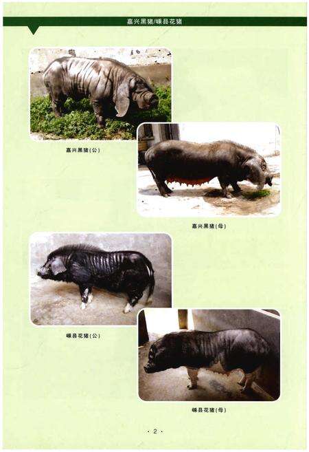 《浙江省畜禽遗传资源志》.pdf电子版_浙江省志预览图5