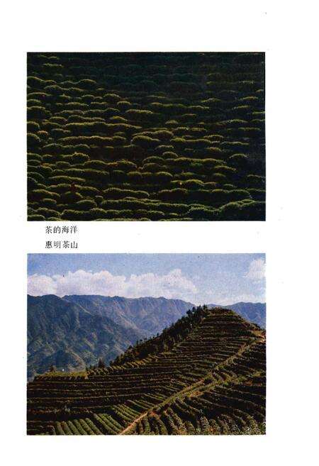 《景宁畲族自治县概况》.pdf电子版_浙江省志预览图4