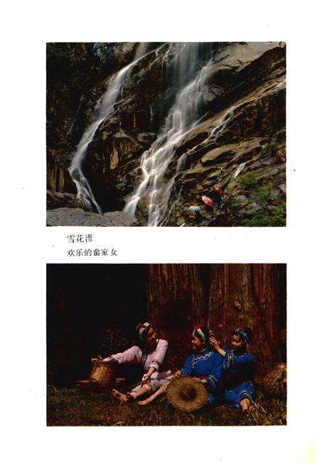 《景宁畲族自治县概况》.pdf电子版_浙江省志预览图5