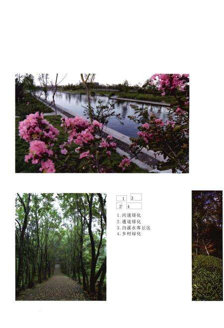 《宁波林业志》.pdf电子版_浙江省志预览图3