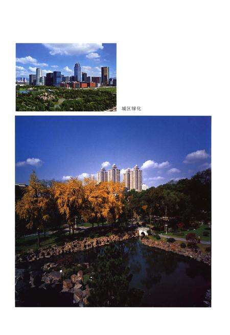 《宁波林业志》.pdf电子版_浙江省志预览图5