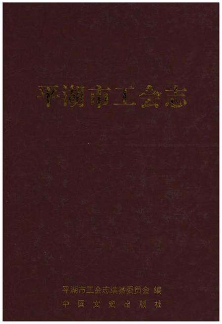 《平湖市工会志》.pdf电子版_浙江省志缩略图
