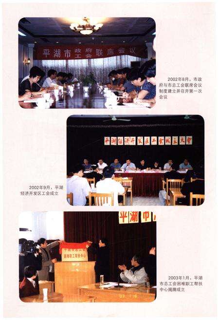 《平湖市工会志》.pdf电子版_浙江省志预览图5