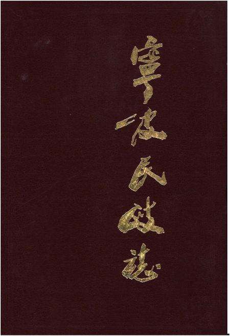 《宁波民政志》.pdf电子版_浙江省志缩略图