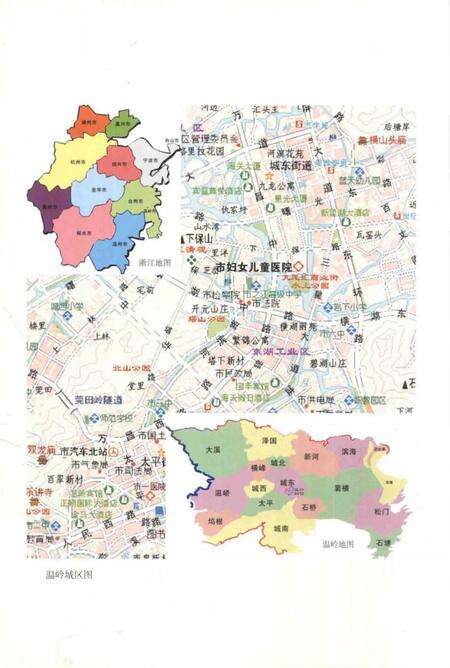 《温岭市妇幼保健院志》.pdf电子版_浙江省志预览图5