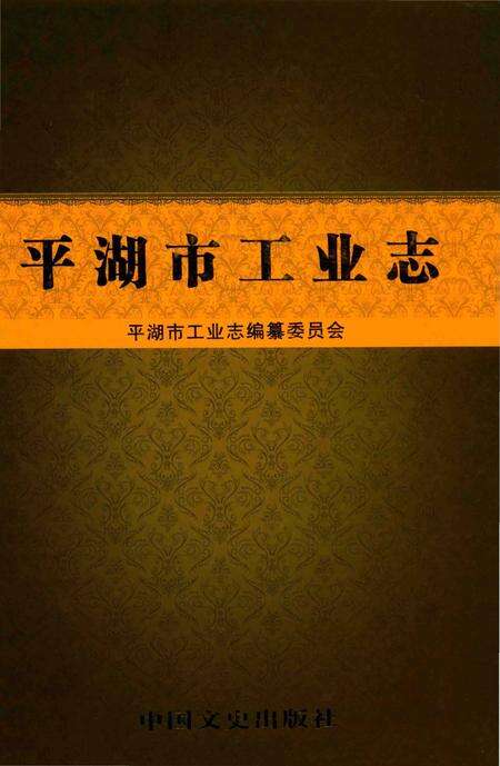 《平湖市工业志》.pdf电子版_浙江省志缩略图