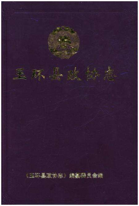 《玉环县政协志》.pdf电子版_浙江省志缩略图