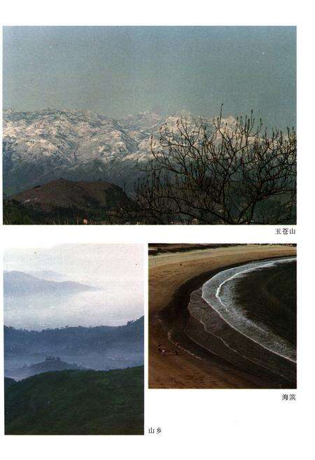 《苍南县志》.pdf电子版_浙江省志预览图4