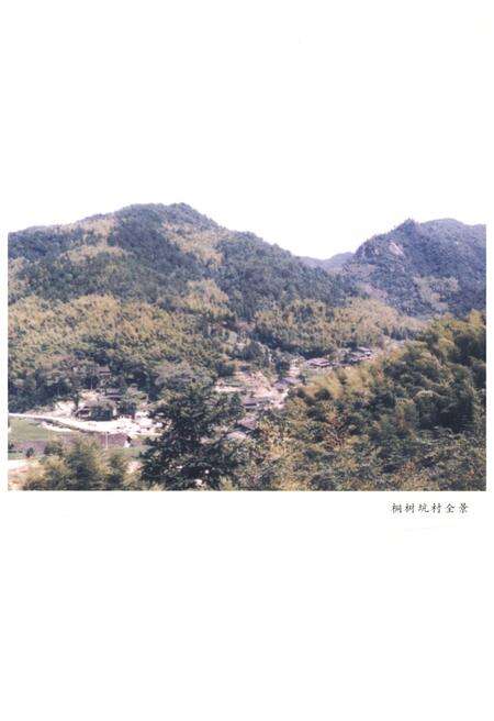 《桐树坑革命和建设史话》.pdf电子版_浙江省志预览图3