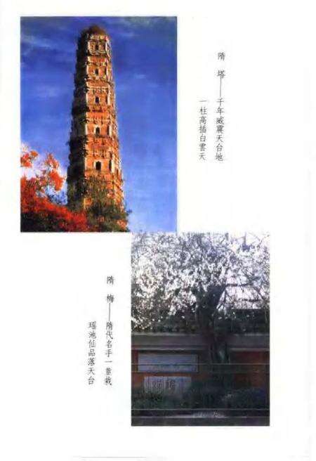 《国清寺志》.pdf电子版_浙江省志预览图4