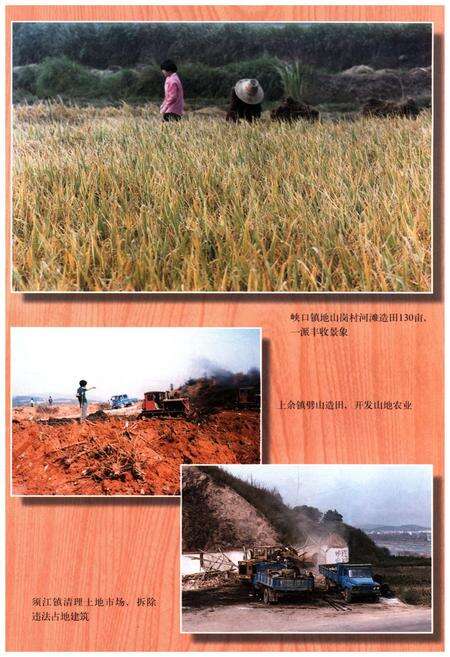 《江山市土地志》.pdf电子版_浙江省志预览图5