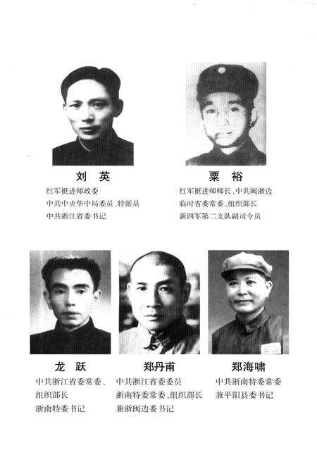 《浙南人民抗日斗争史》.pdf电子版_浙江省志预览图5