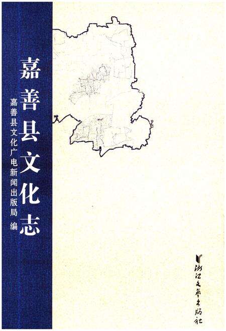 《嘉善县文化志》.pdf电子版_浙江省志缩略图