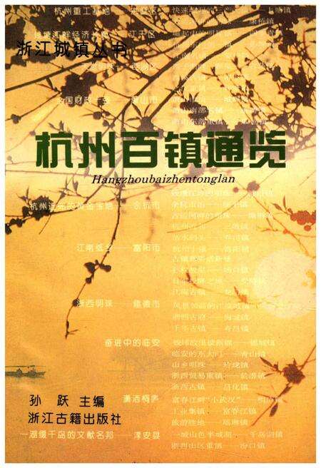 《杭州百镇通览》.pdf电子版_浙江省志缩略图