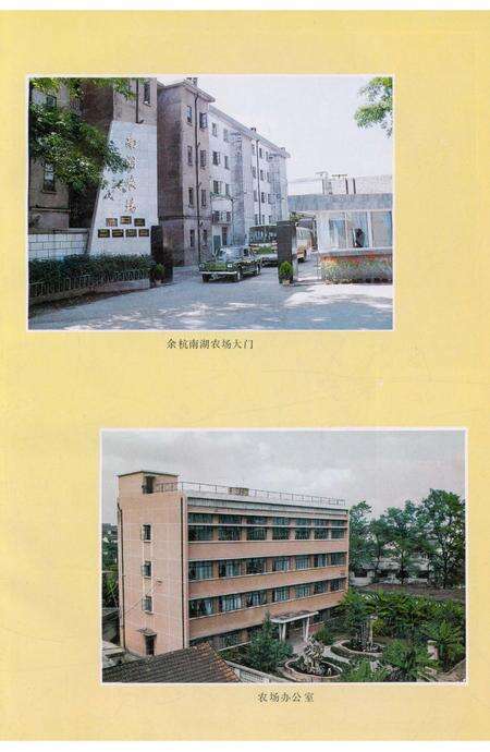 《余杭县南湖农场志》.pdf电子版_浙江省志预览图5