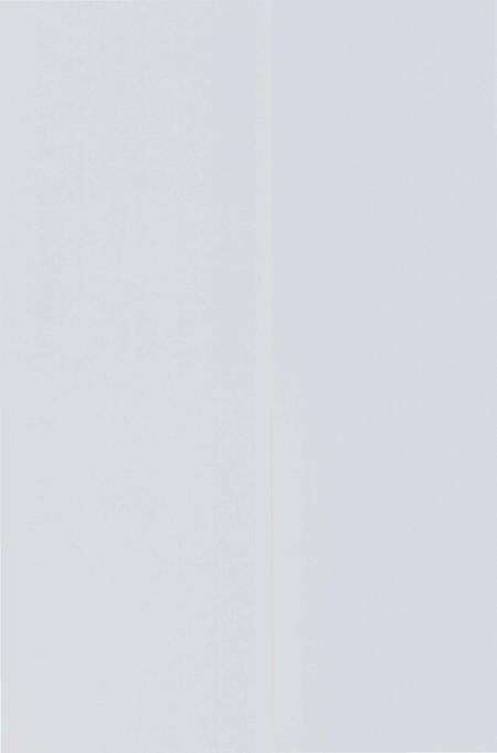 《义乌雅治街村志》.pdf电子版_浙江省志预览图1