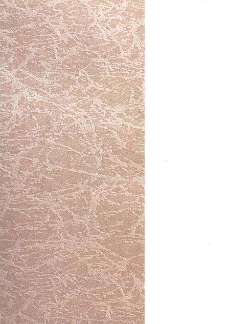 《绍兴九三志（1983-2003）》.pdf电子版_浙江省志预览图1