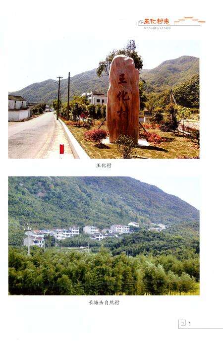 《王化村志》.pdf电子版_浙江省志预览图2