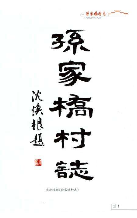 《孙家桥村志》.pdf电子版_浙江省志预览图3