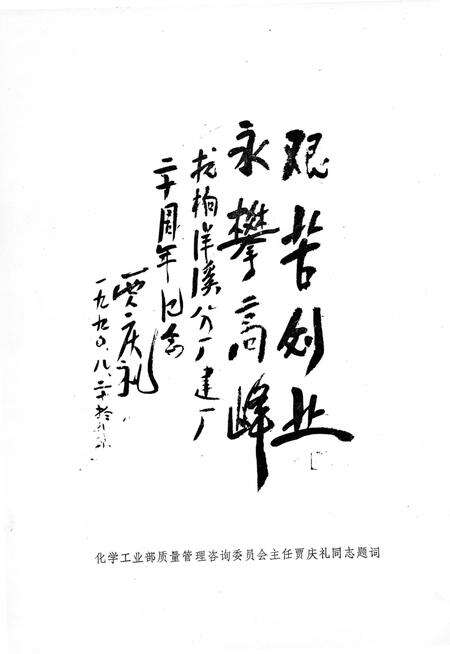 《杭州橡胶厂洋溪轮胎分厂志》.pdf电子版_浙江省志预览图4