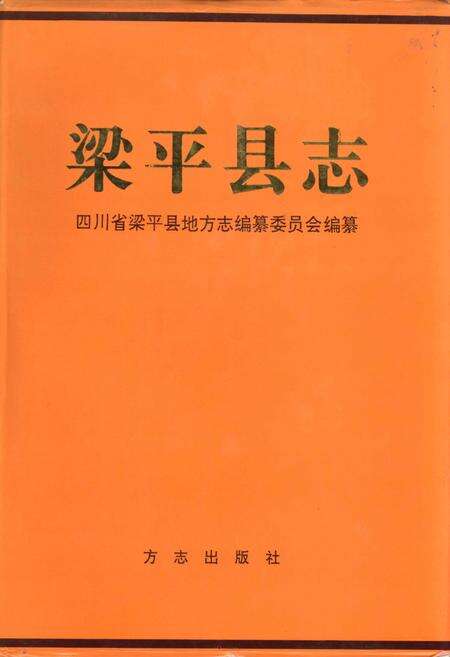 《梁平县志》.pdf电子版_重庆市志缩略图