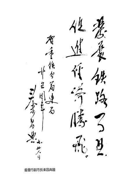 《重铁简史》.pdf电子版_重庆市志预览图3